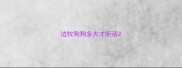 边牧狗狗多大才听话