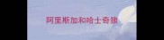 阿里斯加和哈士奇狼