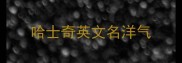 哈士奇英文名洋气