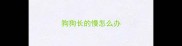 狗狗长的慢怎么办