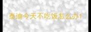泰迪今天不吃饭怎么办