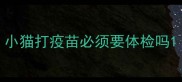 小猫打疫苗必须要体检吗