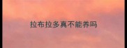 拉布拉多真不能养吗