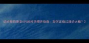 幼犬断奶期至6月龄科学喂养指南如何正确过渡幼犬粮