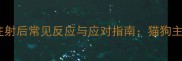宠物必看狂犬疫苗注射后常见反应与应对指南猫狗主人的详细护理手册