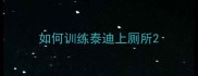 如何训练泰迪上厕所