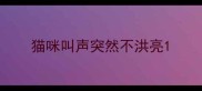 猫咪叫声突然不洪亮