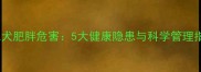 金毛犬肥胖危害5大健康隐患与科学管理指南