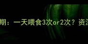 半岁犬喂养黄金期关键期一天喂食3次or2次资深训犬师科学喂养法则