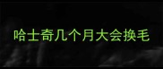 哈士奇几个月大会换毛