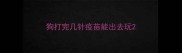 狗打完几针疫苗能出去玩