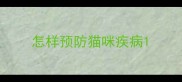 怎样预防猫咪疾病