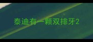泰迪有一颗双排牙
