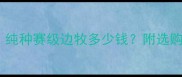 边牧冠军犬价格纯种赛级边牧多少钱附选购指南和饲养建议