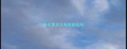 金毛夏天太热能剃毛吗