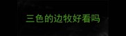 三色的边牧好看吗