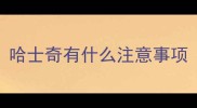 哈士奇有什么注意事项