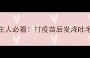 狂犬疫苗后注意事项宠物主人必看打疫苗后发烧吐毛球怎么办附超全护理指南