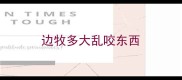 边牧多大乱咬东西
