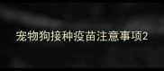 宠物狗接种疫苗注意事项