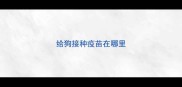 给狗接种疫苗在哪里