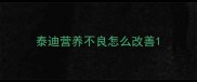 泰迪营养不良怎么改善