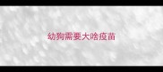 幼狗需要大啥疫苗