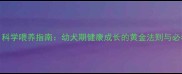 萨摩耶5个月科学喂养指南幼犬期健康成长的黄金法则与必看注意事项