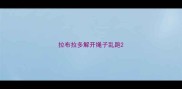 拉布拉多解开绳子乱跑