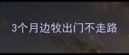 3个月边牧出门不走路