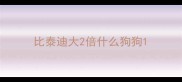 比泰迪大2倍什么狗狗