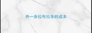 养一条拉布拉多的成本