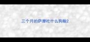 三个月的萨摩吃什么狗粮