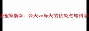 金毛犬性别选择指南公犬vs母犬的优缺点与科学饲养建议