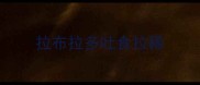 拉布拉多吐食拉稀