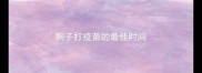 狗子打疫苗的最佳时间