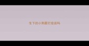 生下的小狗要打疫苗吗