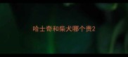 哈士奇和柴犬哪个贵