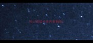 哈士奇幼犬体内有蛔虫