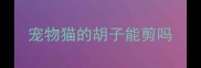 宠物猫的胡子能剪吗