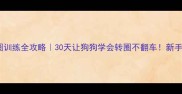 泰迪转圈训练全攻略30天让狗狗学会转圈不翻车新手必看教程
