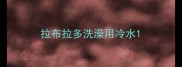拉布拉多洗澡用冷水