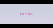 猫咪几个月脱胎毛