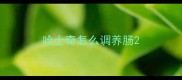 哈士奇怎么调养肠