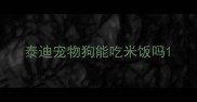 泰迪宠物狗能吃米饭吗