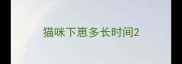 猫咪下崽多长时间