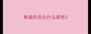 泰迪的舌头什么颜色
