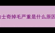哈士奇掉毛严重是什么原因