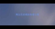 刚出生的烟灰色哈士奇