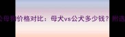 哈士奇公母狗价格对比母犬vs公犬多少钱附选购指南